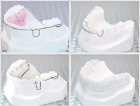 保定装置