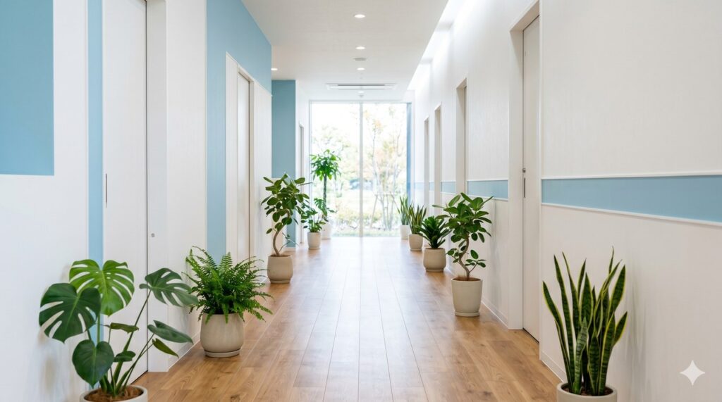 観葉植物が並ぶ明るく清潔な院内の廊下